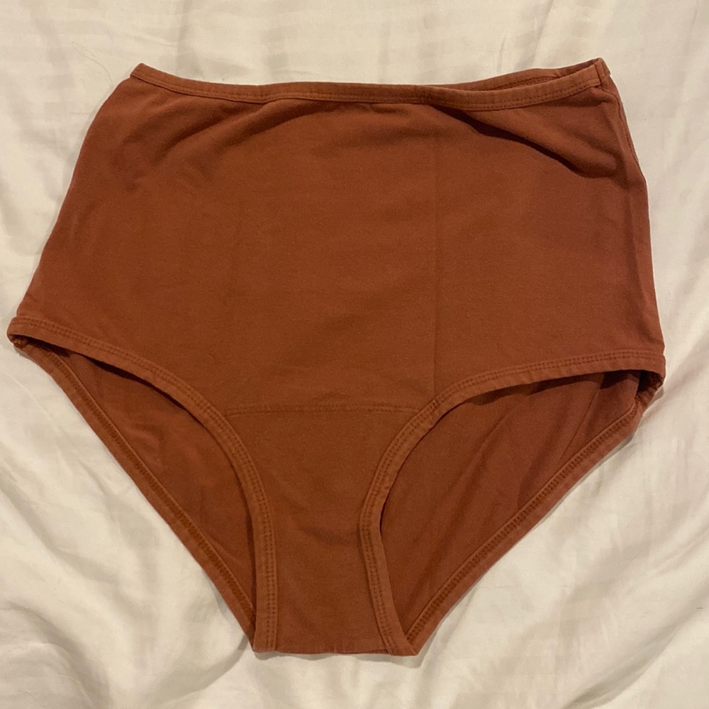 rust ARQ full coverage panty